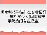 闽南科技学院什么专业最好，一年招多少人(闽南科技学院热门专业招生)