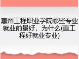 惠州工程职业学院哪些专业就业前景好，为什么(惠工程好就业专业)