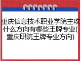 重庆信息技术职业学院主攻什么方向有哪些王牌专业(重庆职院王牌专业方向)