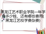 黑龙江艺术职业学院一年学费多少钱，还有哪些费用(黑龙江艺校学费杂费)