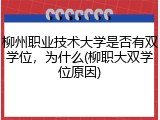 柳州职业技术大学是否有双学位，为什么(柳职大双学位原因)