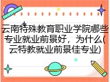 云南特殊教育职业学院哪些专业就业前景好，为什么(云特教就业前景佳专业)