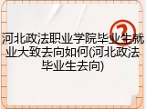 河北政法职业学院毕业生就业大致去向如何(河北政法毕业生去向)