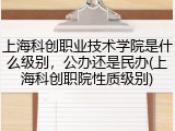 上海科创职业技术学院是什么级别，公办还是民办(上海科创职院性质级别)