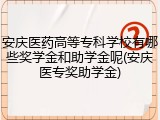 安庆医药高等专科学校有哪些奖学金和助学金呢(安庆医专奖助学金)