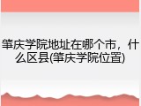 肇庆学院地址在哪个市，什么区县(肇庆学院位置)