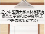 辽宁中医药大学杏林学院有哪些奖学金和助学金呢(辽中医杏林奖助学金)
