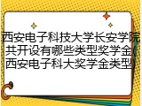 西安电子科技大学长安学院共开设有哪些类型奖学金(西安电子科大奖学金类型)