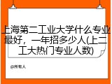 上海第二工业大学什么专业最好，一年招多少人(上二工大热门专业人数)