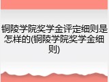铜陵学院奖学金评定细则是怎样的(铜陵学院奖学金细则)