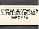 安徽矿业职业技术学院是专科还是本科院校呢(安徽矿院是专科吗)