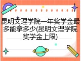 昆明文理学院一年奖学金最多能拿多少(昆明文理学院奖学金上限)