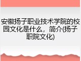 安徽扬子职业技术学院的校园文化是什么，简介(扬子职院文化)