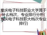 重庆电子科技职业大学属于什么档次，专业排行分析(重庆电子科技职大档次专业排行)