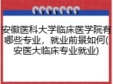 安徽医科大学临床医学院有哪些专业，就业前景如何(安医大临床专业就业)