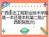 广西生态工程职业技术学院是一本还是本科第二批(广西职院批次)