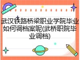 武汉铁路桥梁职业学院毕业如何调档案呢(武桥职院毕业调档)
