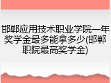 邯郸应用技术职业学院一年奖学金最多能拿多少(邯郸职院最高奖学金)