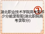 湖北职业技术学院高考需多少分能录取呢(湖北职院高考录取分)