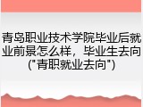 青岛职业技术学院毕业后就业前景怎么样，毕业生去向("青职就业去向")