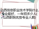 山西信息职业技术学院什么专业最好，一年招多少人(山西职院优势专业人数)