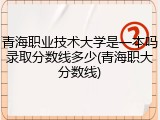 青海职业技术大学是一本吗录取分数线多少(青海职大分数线)