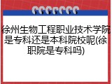 徐州生物工程职业技术学院是专科还是本科院校呢(徐职院是专科吗)