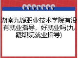 湖南九嶷职业技术学院有没有就业指导，好就业吗(九嶷职院就业指导)