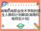 湖南机电职业技术学院的招生人数和计划解读(湖南机电招生计划)