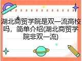湖北商贸学院是双一流高校吗，简单介绍(湖北商贸学院非双一流)
