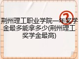 荆州理工职业学院一年奖学金最多能拿多少(荆州理工奖学金最高)