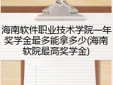 海南软件职业技术学院一年奖学金最多能拿多少(海南软院最高奖学金)
