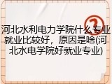 河北水利电力学院什么专业就业比较好，原因是啥(河北水电学院好就业专业)