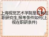 上海视觉艺术学院是否有在职研究生,报考条件如何(上视在职研条件)