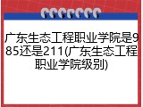 广东生态工程职业学院是985还是211(广东生态工程职业学院级别)