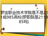 罗定职业技术学院是不是211或985高校(罗职院是211985吗)