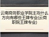 云南商务职业学院主攻什么方向有哪些王牌专业(云商职院王牌专业)