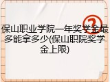 保山职业学院一年奖学金最多能拿多少(保山职院奖学金上限)