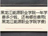 黑龙江能源职业学院一年学费多少钱，还有哪些费用(黑龙江能源职业学院学费)