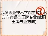 武汉职业技术学院主攻什么方向有哪些王牌专业(武职王牌专业方向)