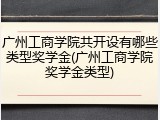 广州工商学院共开设有哪些类型奖学金(广州工商学院奖学金类型)