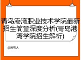 青岛港湾职业技术学院最新招生简章深度分析(青岛港湾学院招生解析)