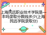 上海民远职业技术学院是一本吗录取分数线多少(上海民远学院录取分)