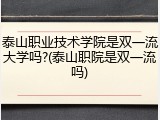 泰山职业技术学院是双一流大学吗?(泰山职院是双一流吗)
