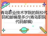 青岛职业技术学院的院校代码和邮编是多少(青岛职院代码邮编)