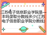 江苏电子信息职业学院是一本吗录取分数线多少(江苏电子信息职业学院分数线)