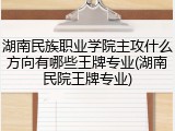 湖南民族职业学院主攻什么方向有哪些王牌专业(湖南民院王牌专业)