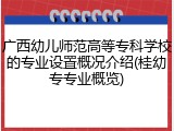 广西幼儿师范高等专科学校的专业设置概况介绍(桂幼专专业概览)