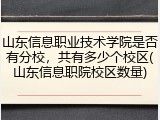 山东信息职业技术学院是否有分校，共有多少个校区(山东信息职院校区数量)