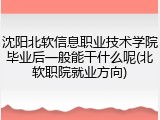 沈阳北软信息职业技术学院毕业后一般能干什么呢(北软职院就业方向)